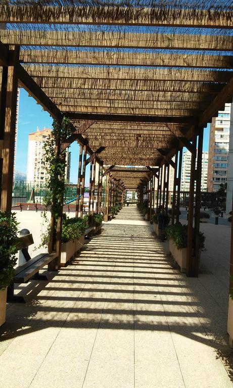 בנידורם Apartment Carmentxu Gemelos 26 חדר תמונה