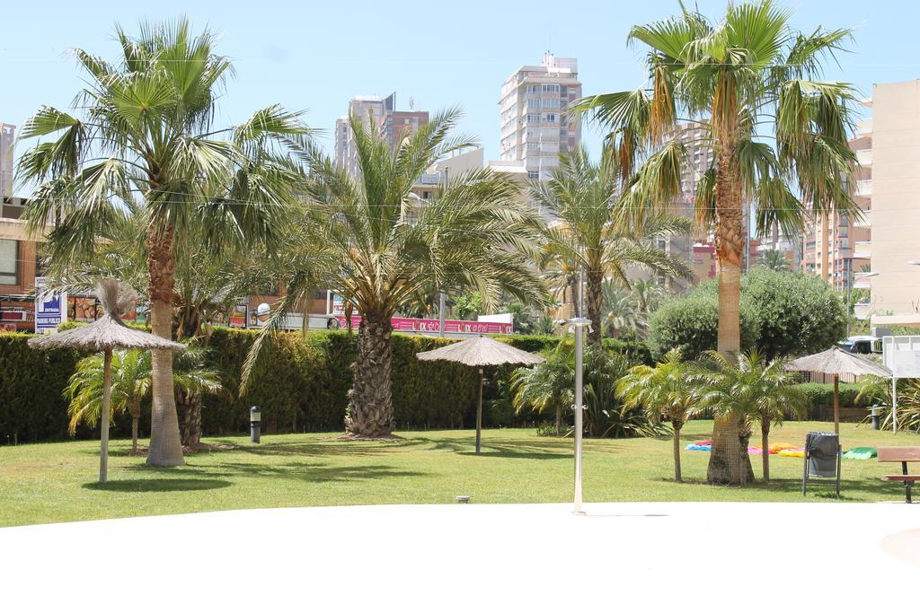 בנידורם Apartment Carmentxu Gemelos 26 חדר תמונה